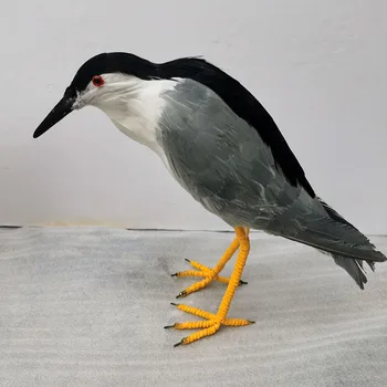 naujas realus gyvenimas paukščių modelis putų&plunksnų naktį garnys Black crown sodo puošmena dovana, apie 35cm xf2852