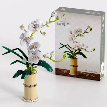Ss Puokštė Orchidėjų Žiedų Blokai Miesto Romantiškas Namų Puošybai 
